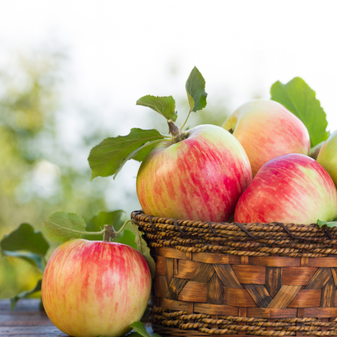 Apple Murabba