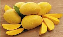 MURABBAS